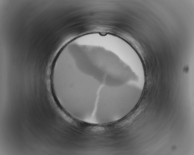 X0000102841235200809151056