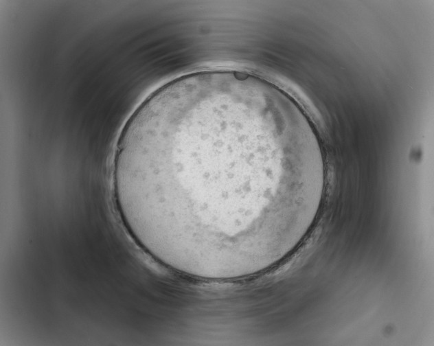 X0000102841236200809151056