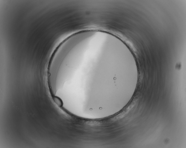 X0000102841239200809151056