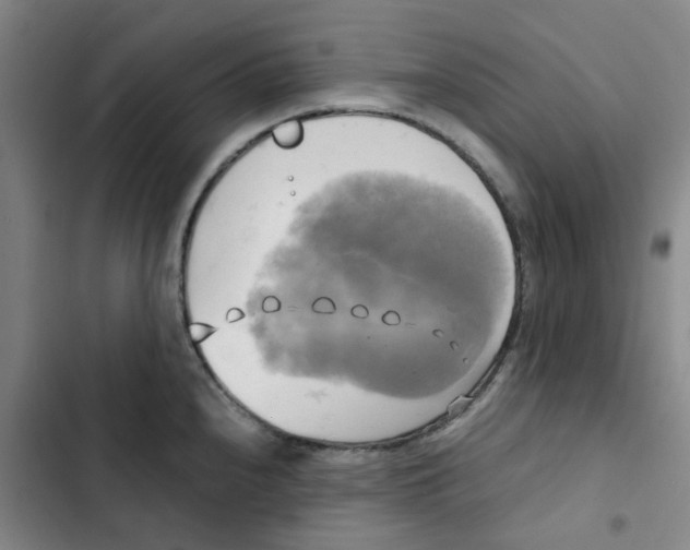 X0000102841240200809151056