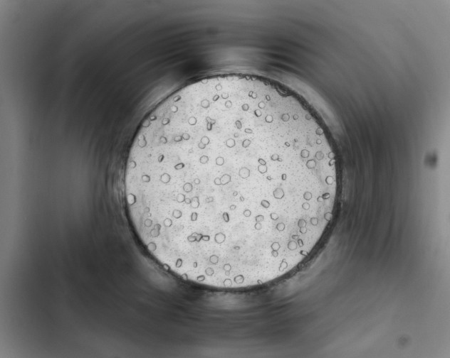 X0000102841241200809151056