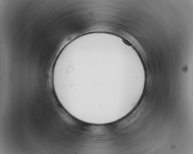 X0000102841242200809151056