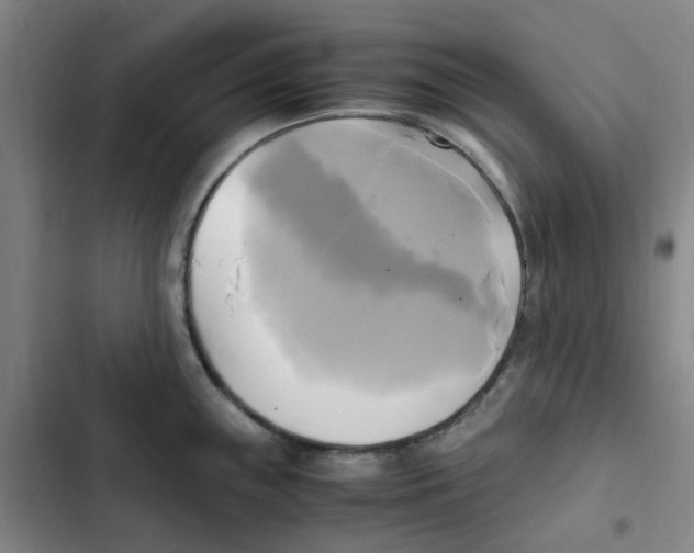 X0000102841243200809151056