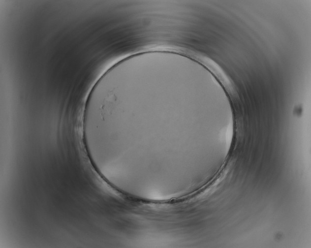 X0000102841244200809151056