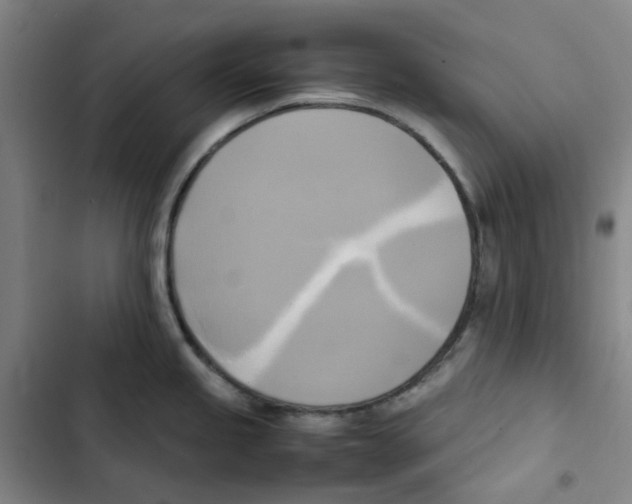 X0000102841245200809151056