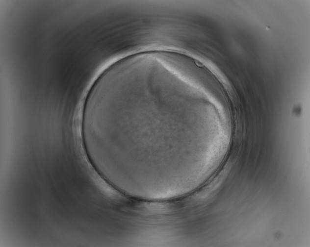 X0000102841246200809151056