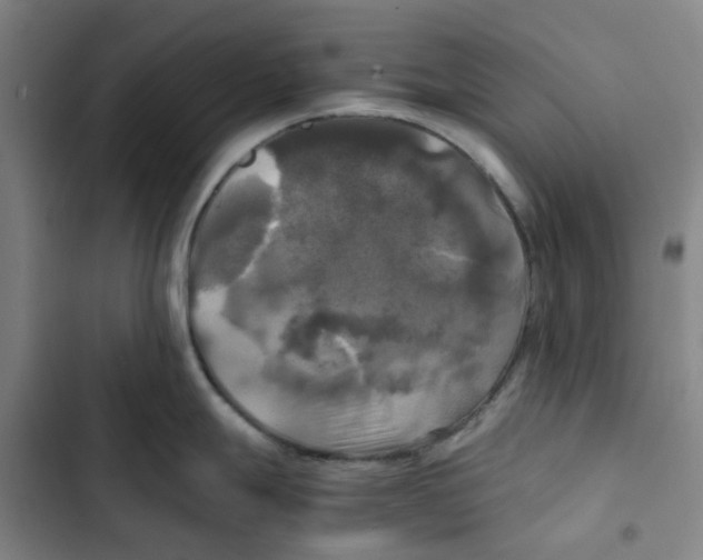 X0000102841247200809151056