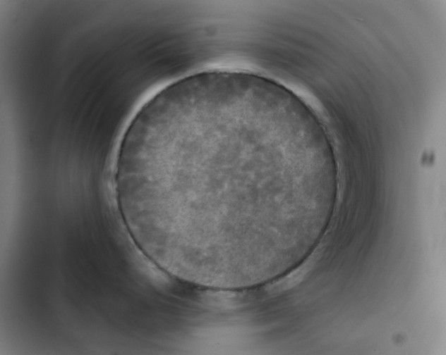 X0000102841248200809151056