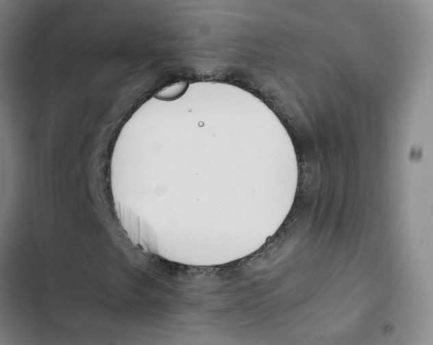 X0000102841249200809151055