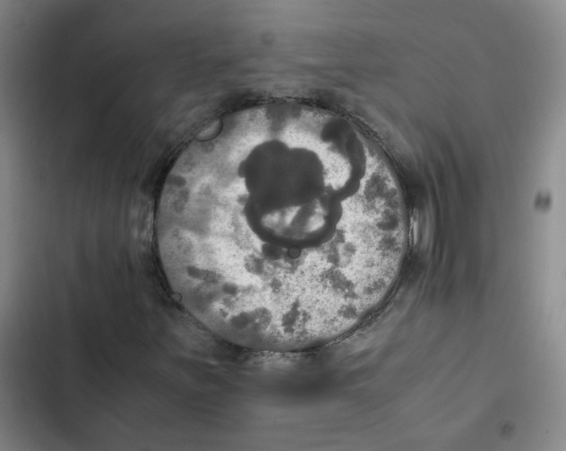 X0000102841251200809151055