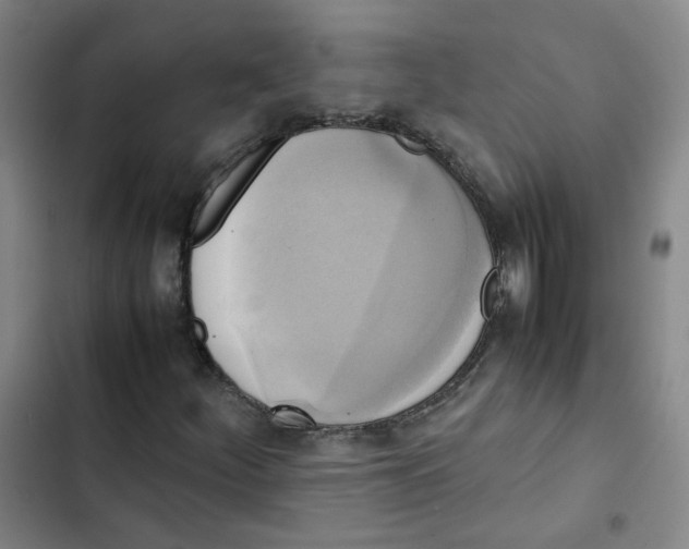 X0000102841252200809151055