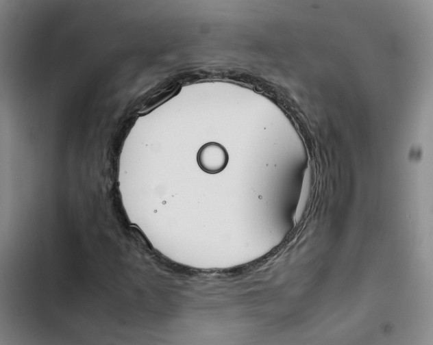 X0000102841253200809151055