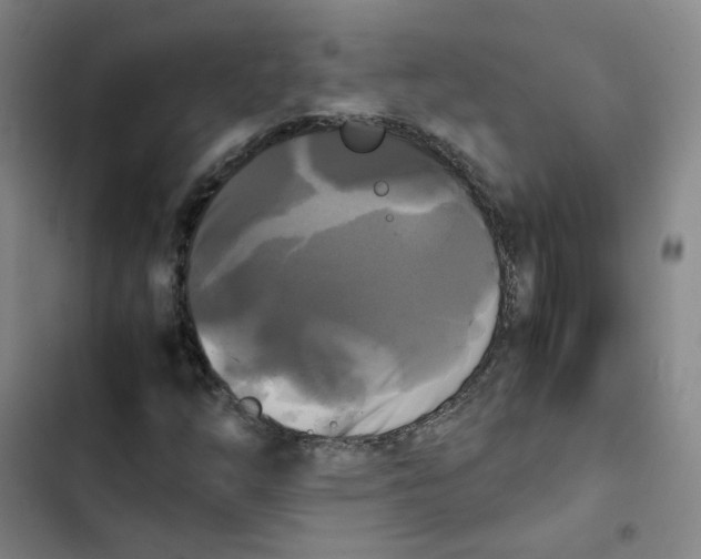 X0000102841254200809151055