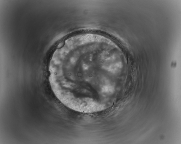 X0000102841255200809151055