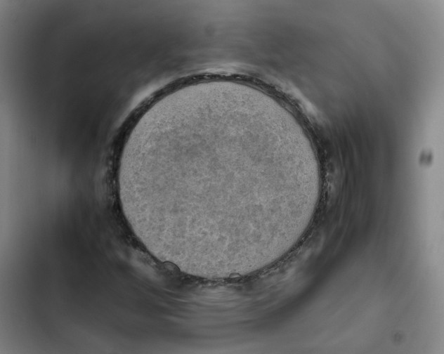 X0000102841256200809151055