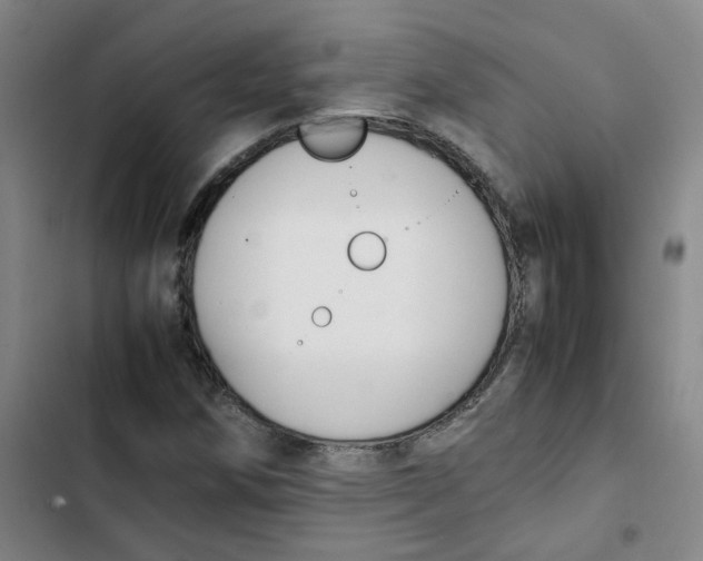 X0000102841258200809151055