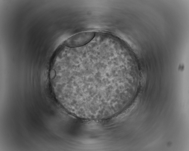 X0000102841259200809151055