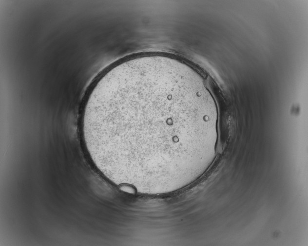 X0000102841260200809151055