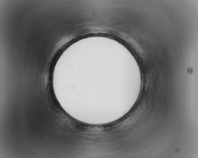 X0000102841261200809151055