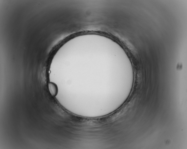 X0000102841262200809151055