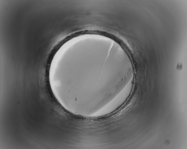 X0000102841263200809151055