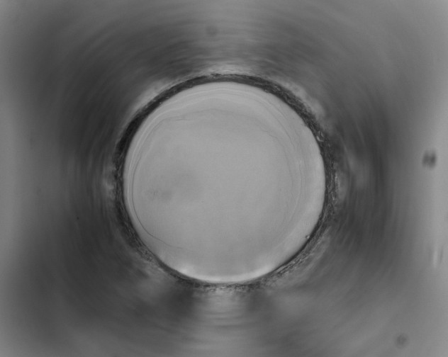 X0000102841266200809151055