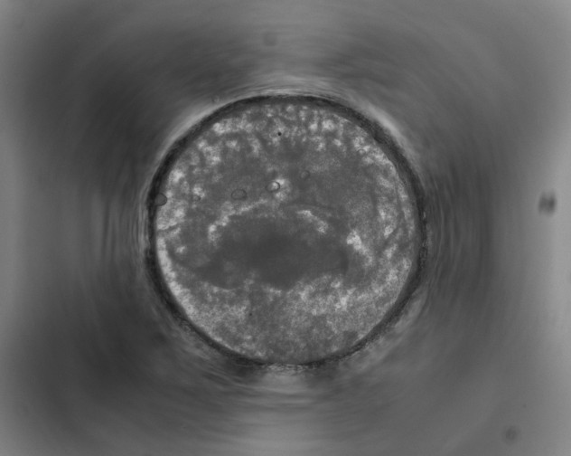 X0000102841267200809151055