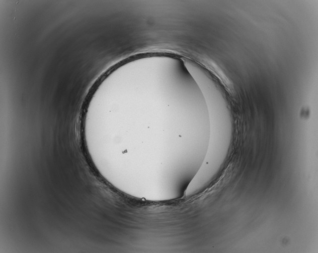 X0000102841268200809151055