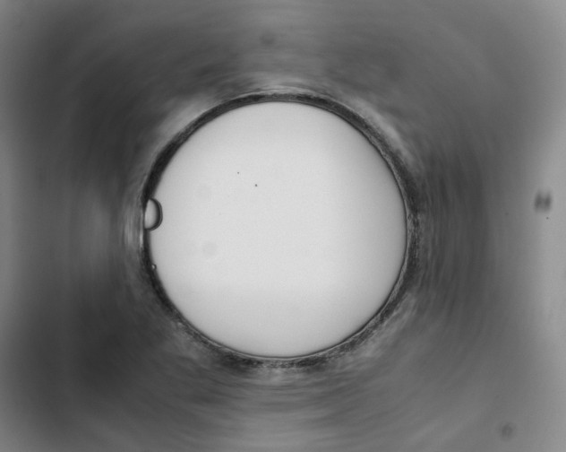 X0000102841269200809151055