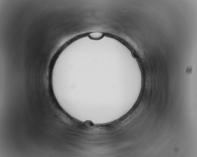 X0000102841270200809151055