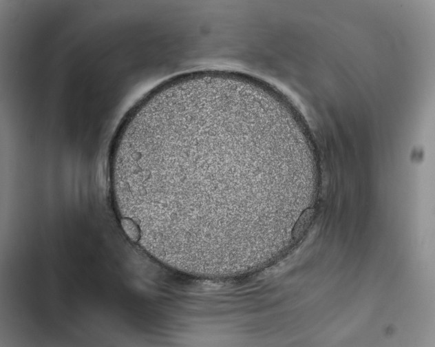 X0000102841271200809151055