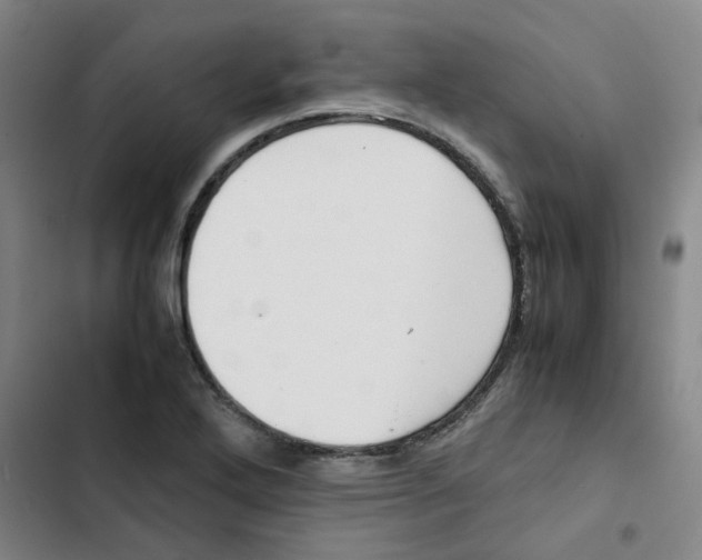 X0000102841272200809151055