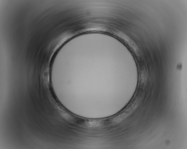 X0000102841274200809151055