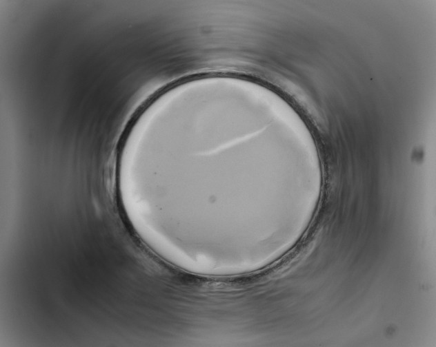 X0000102841275200809151055