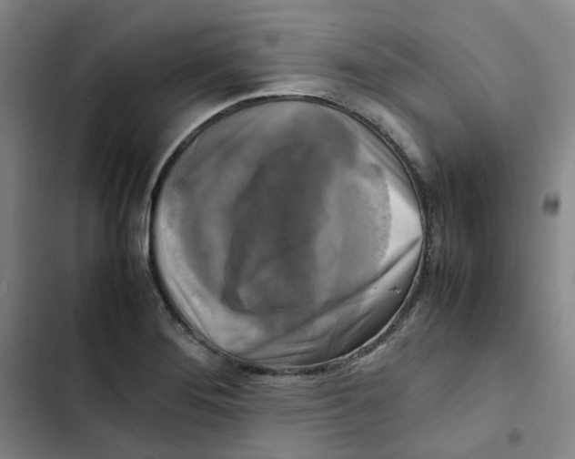 X0000102841276200809151055