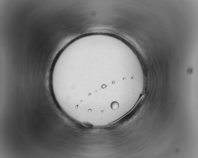 X0000102841277200809151055