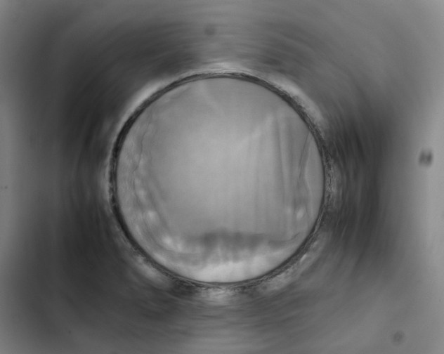 X0000102841278200809151055