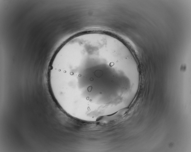 X0000102841279200809151055