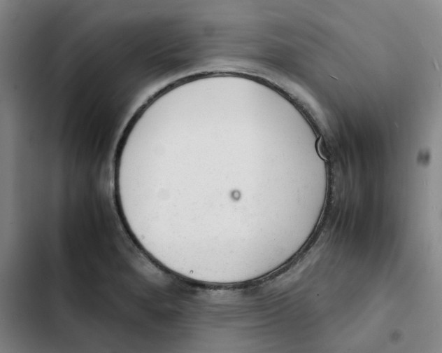 X0000102841280200809151055