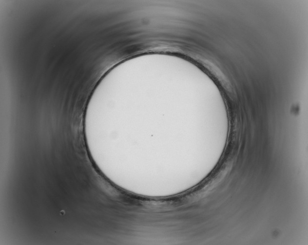 X0000102841281200809151055