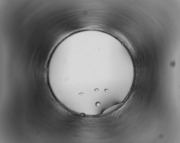 X0000102841284200809151055