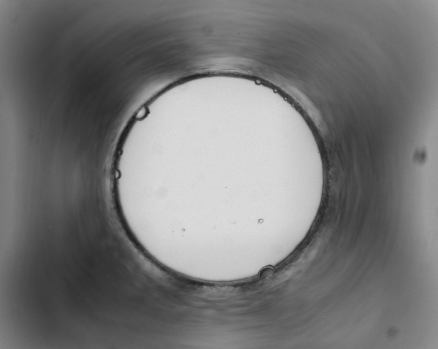 X0000102841285200809151055