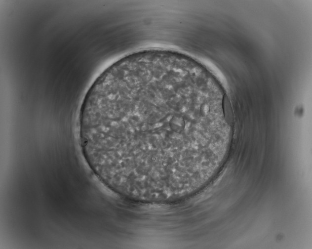 X0000102841287200809151055