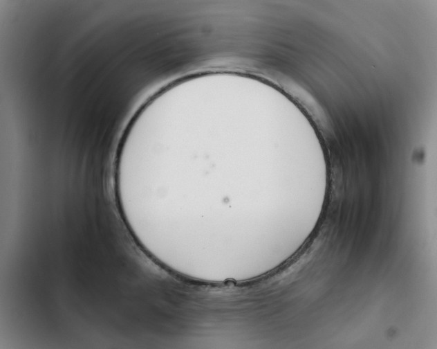 X0000102841288200809151055