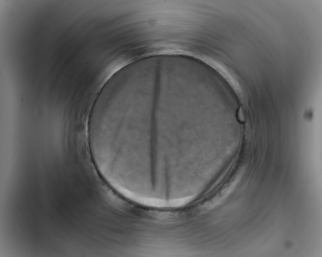 X0000102841289200809151055