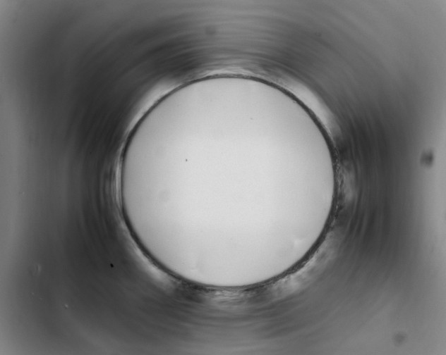 X0000102841290200809151055