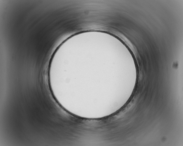 X0000102841293200809151055