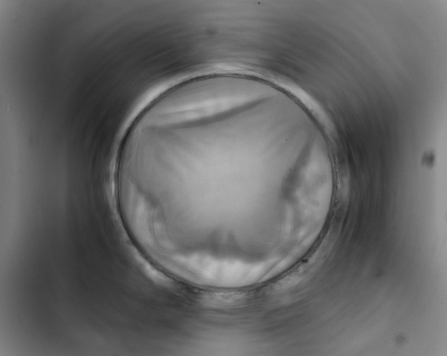 X0000102841294200809151055