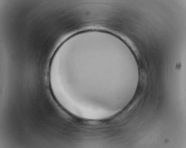 X0000102841295200809151055