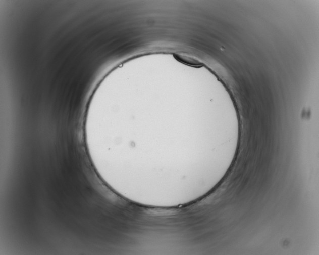 X0000102841296200809151055